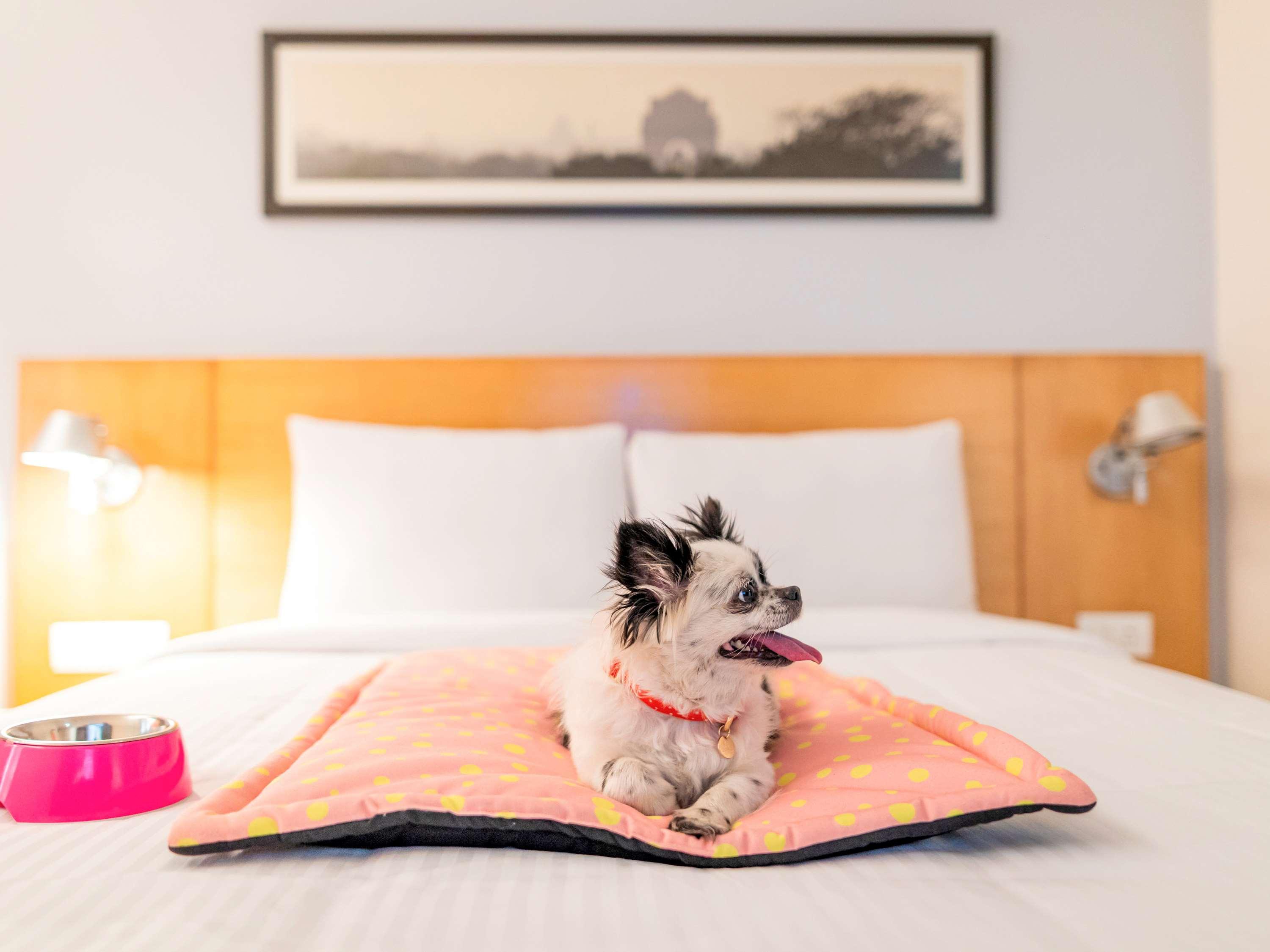 ibis Bengaluru Hosur Road - An Accor Brand Hotel Bagian luar foto